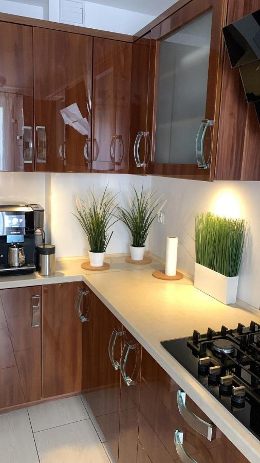Golden Apartament Legionow Торунь Екстер'єр фото