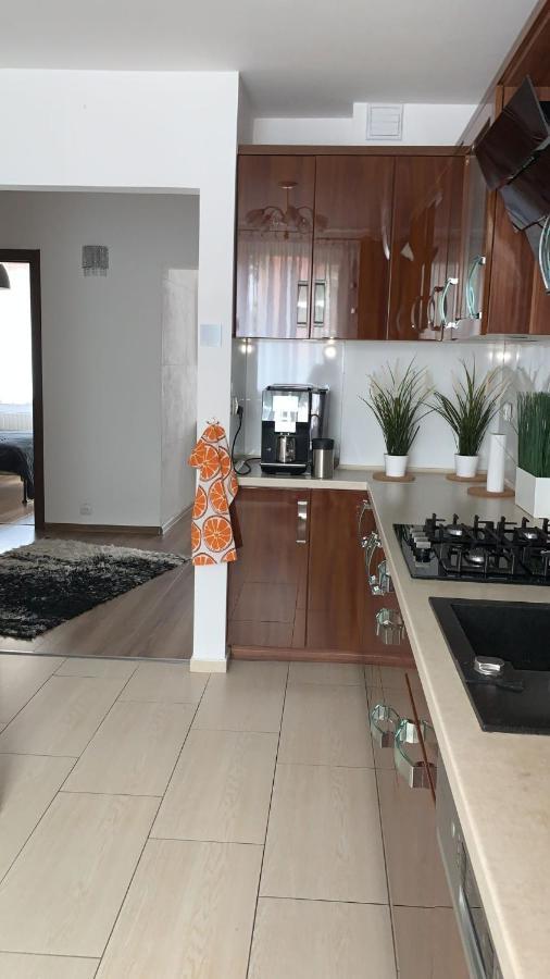 Golden Apartament Legionow Торунь Екстер'єр фото